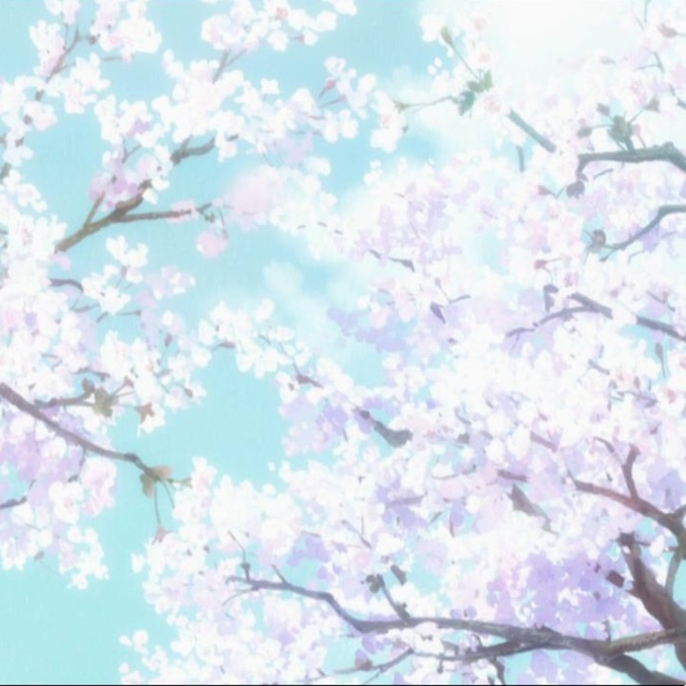 Meet your Posher, Alazae